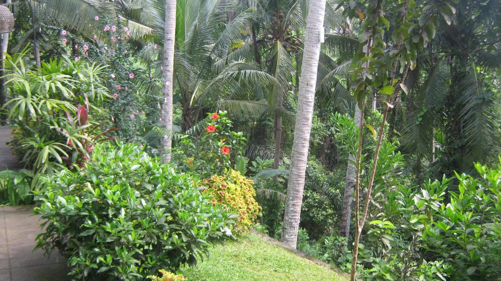 Mahanadewi Villa Ubud Kamer foto