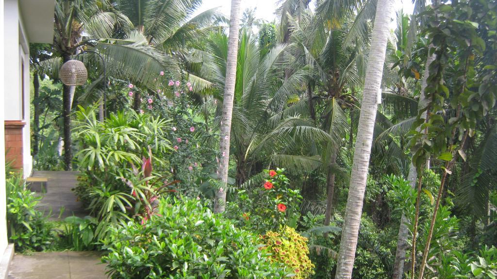 Mahanadewi Villa Ubud Kamer foto