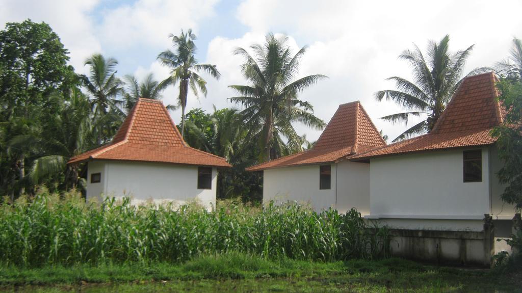 Mahanadewi Villa Ubud Buitenkant foto